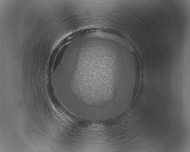 X0000076330536200610201707