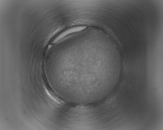 X0000076330538200610201707