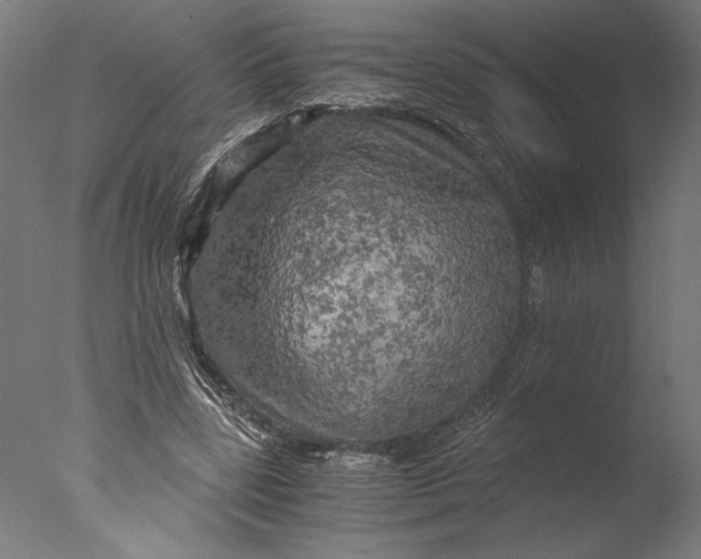 X0000076330539200610201707