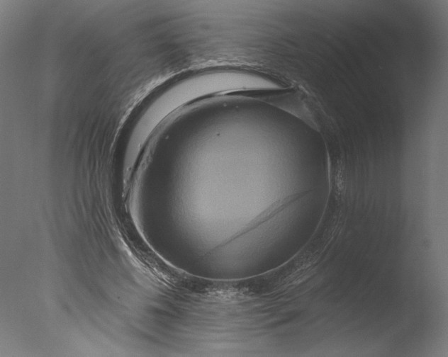 X0000076330540200610201707