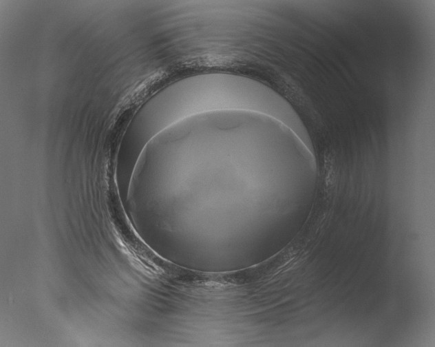 X0000076330542200610201707