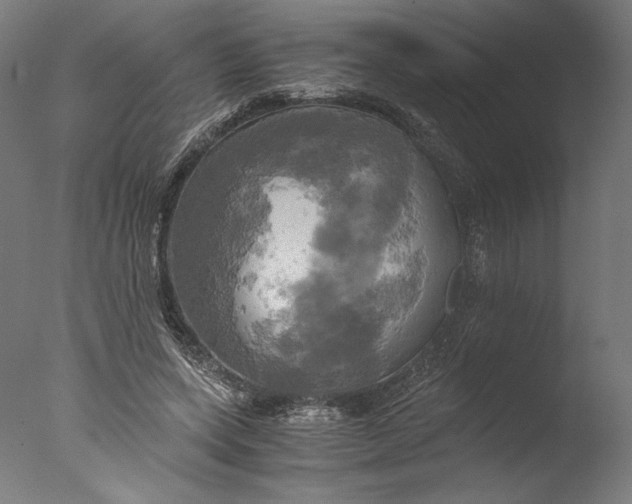 X0000076330543200610201707