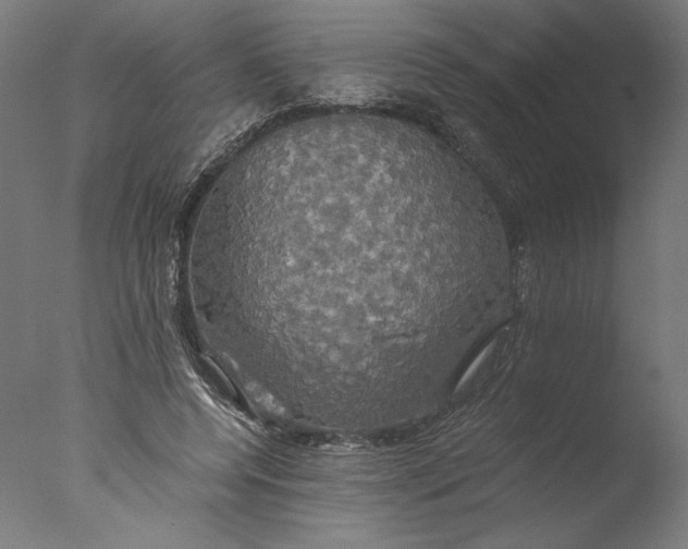 X0000076330544200610201707