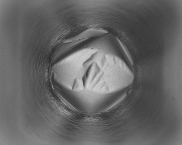 X0000076330545200610201707