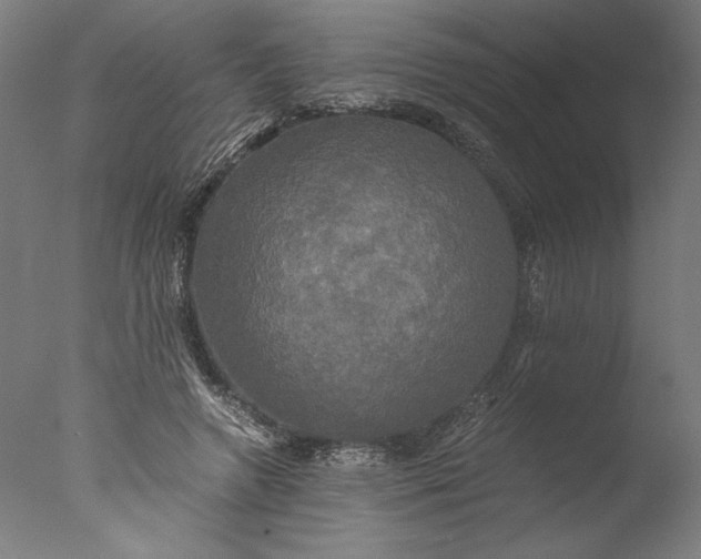 X0000076330546200610201707