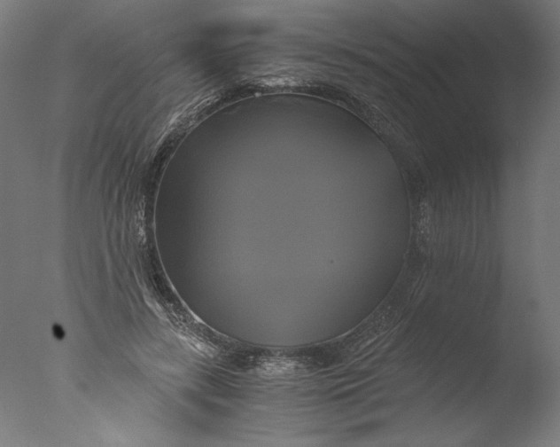 X0000076330547200610201707