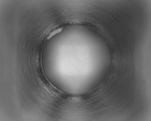 X0000076330548200610201707