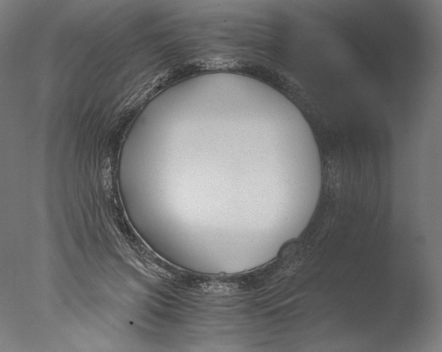 X0000076330549200610201707