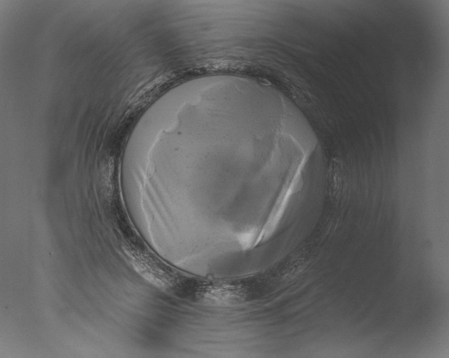 X0000076330550200610201707