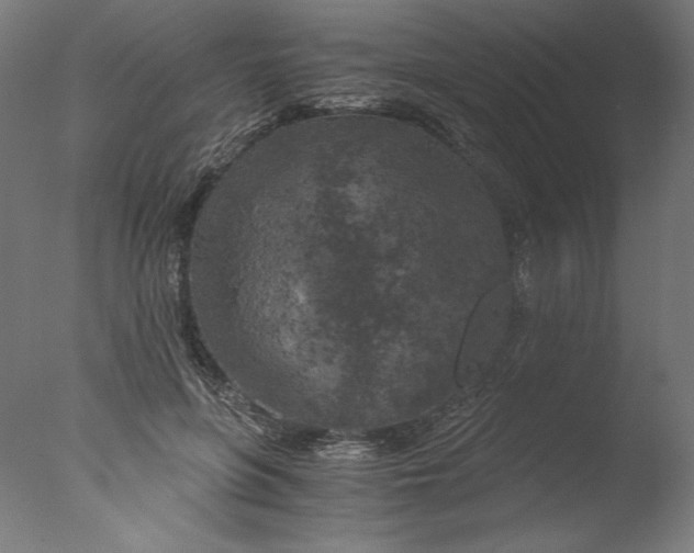 X0000076330551200610201707