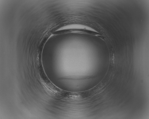 X0000076330552200610201707