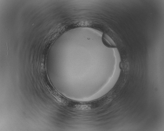 X0000076330553200610201707