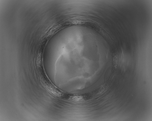 X0000076330554200610201707