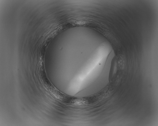 X0000076330555200610201707