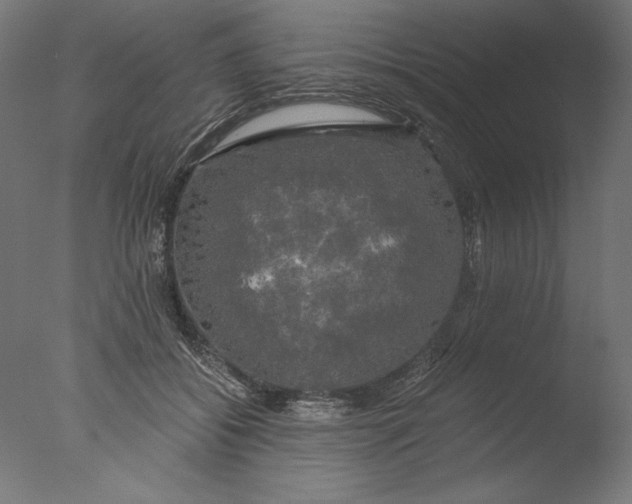 X0000076330556200610201707