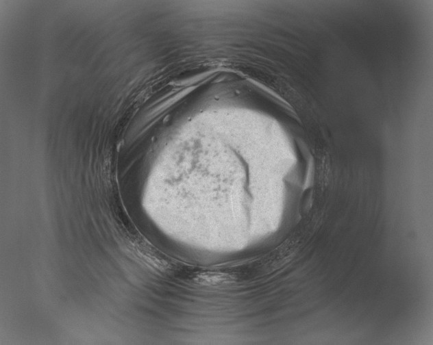 X0000076330557200610201707