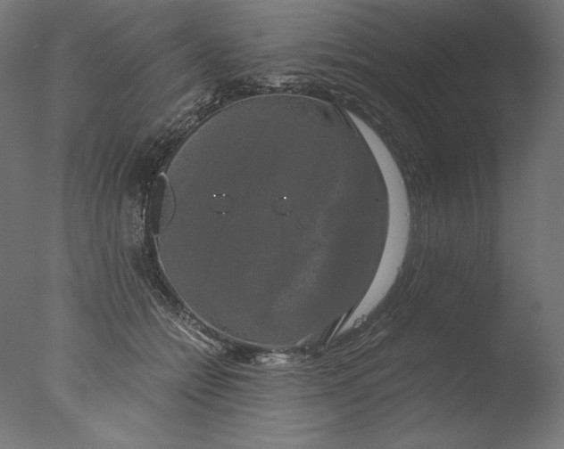 X0000076330558200610201707