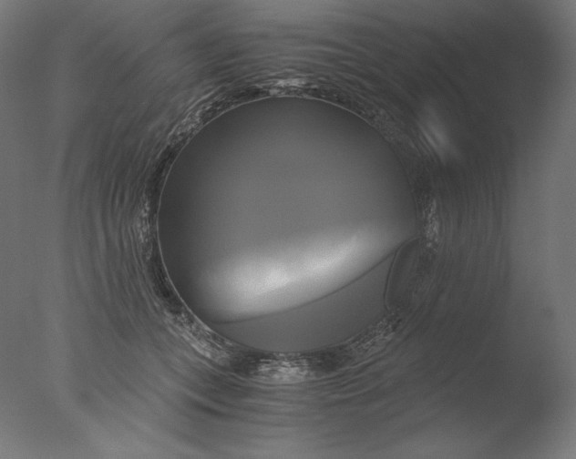 X0000076330559200610201707