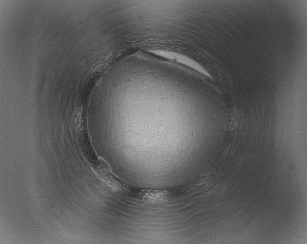 X0000076330560200610201707