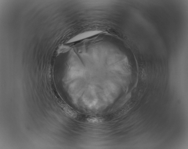 X0000076330561200610201707