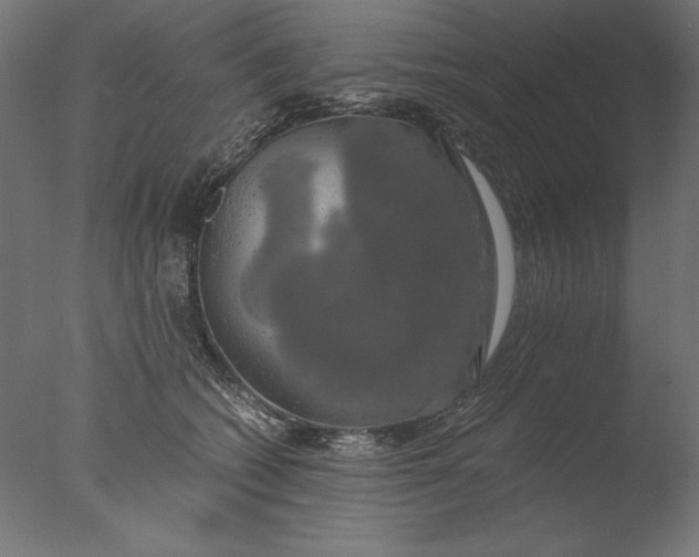 X0000076330562200610201707