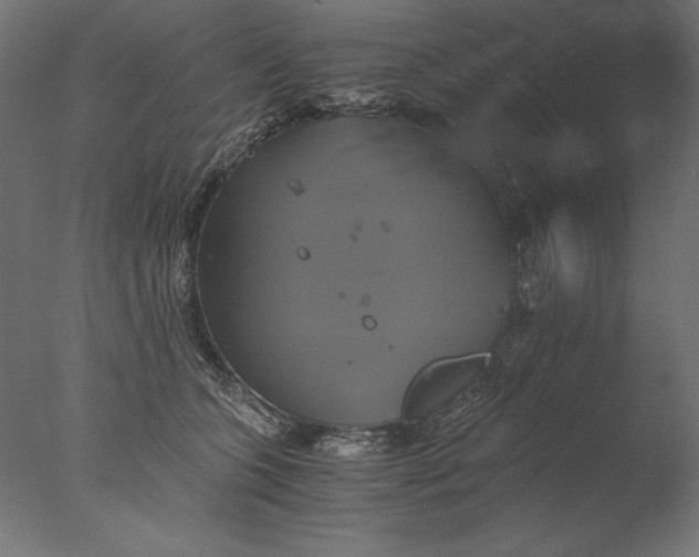 X0000076330563200610201708