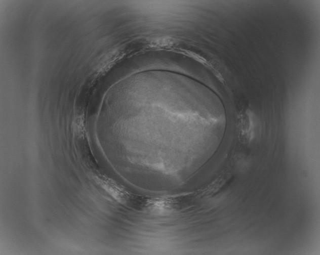 X0000076330564200610201708