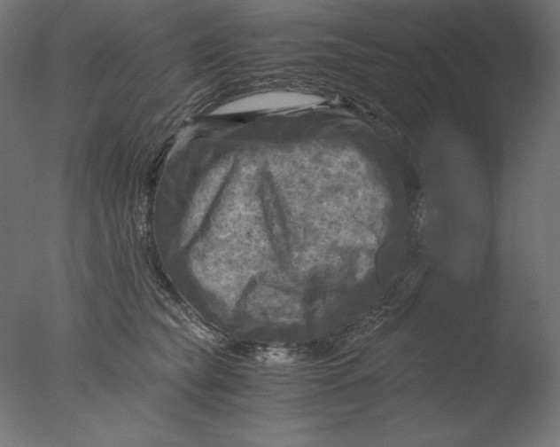 X0000076330565200610201708