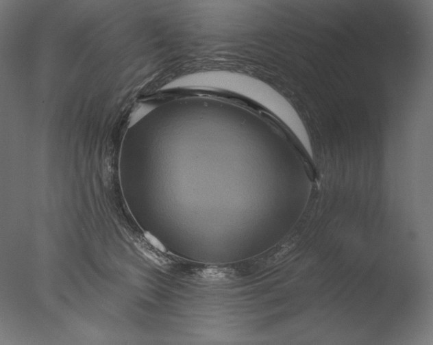 X0000076330566200610201708