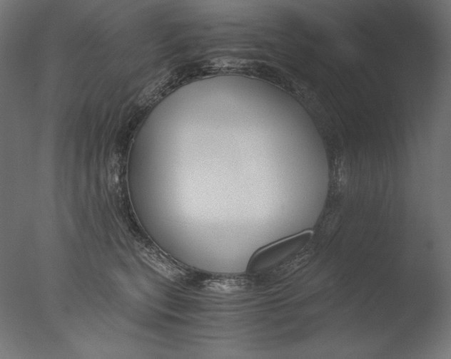 X0000076330567200610201708