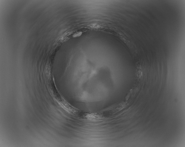 X0000076330568200610201708