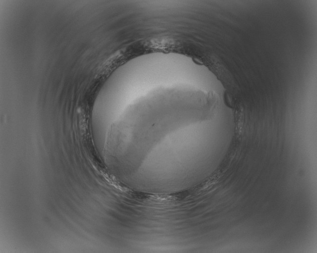 X0000076330569200610201708