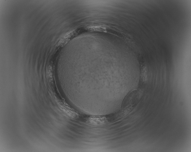 X0000076330571200610201708