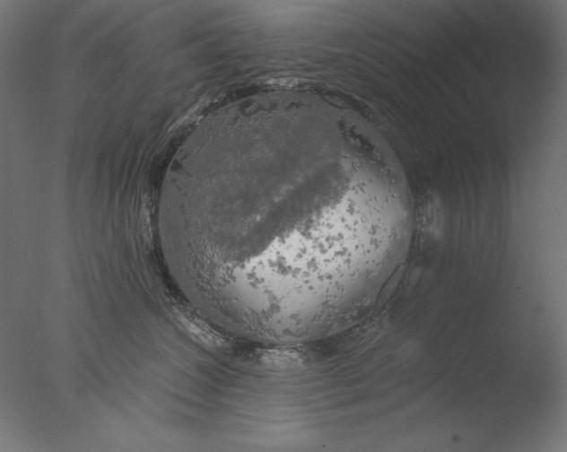 X0000076330572200610201708