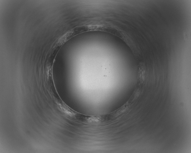 X0000076330574200610201708