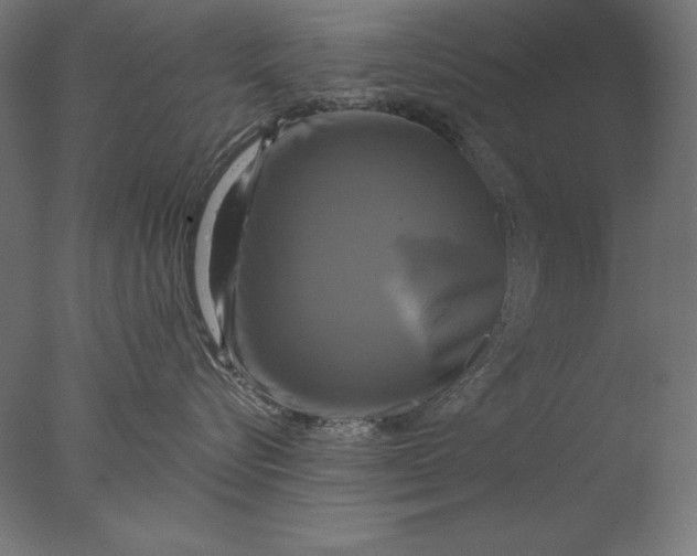 X0000076330576200610201708