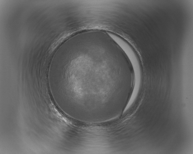 X0000076330577200610201707