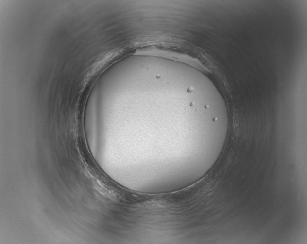 X0000076330578200610201707