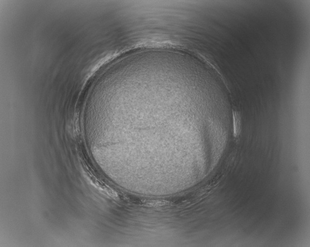 X0000076330579200610201707