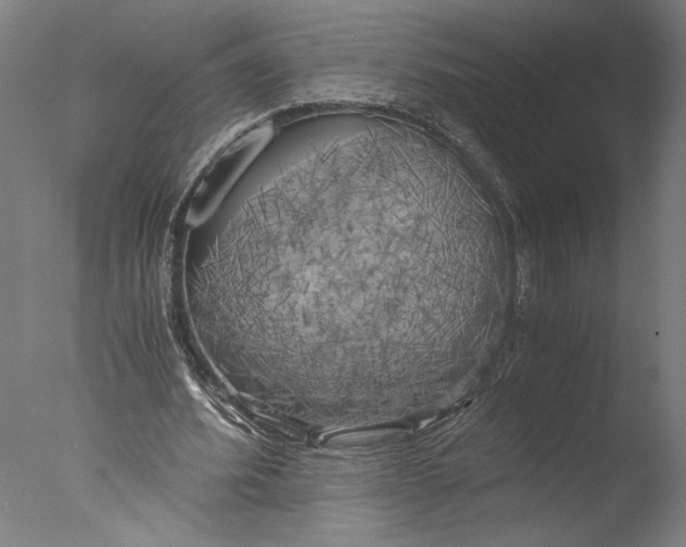 X0000076330580200610201707