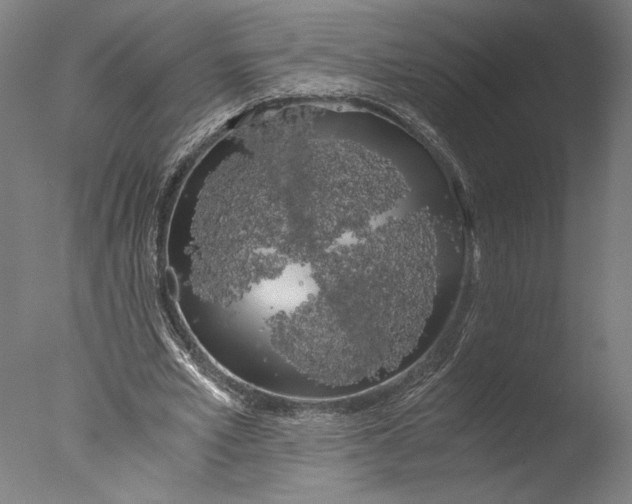 X0000076330581200610201707