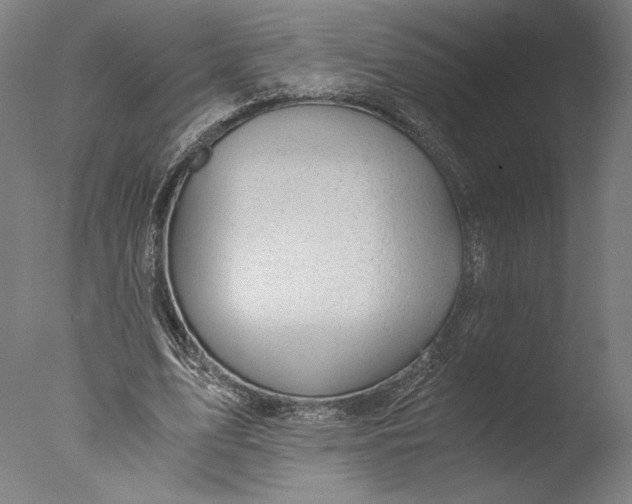 X0000076330583200610201707