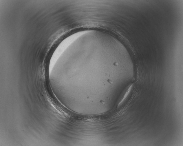 X0000076330584200610201707