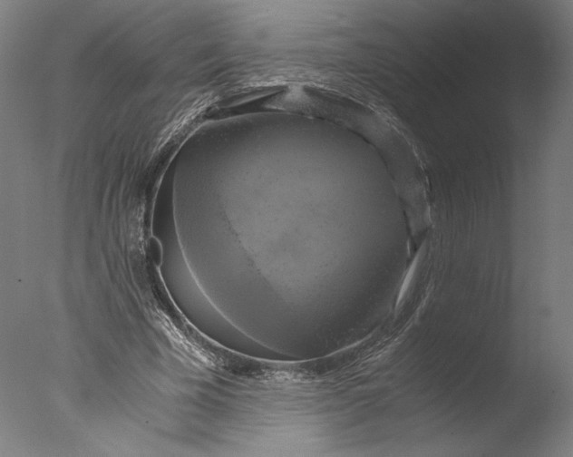 X0000076330585200610201707