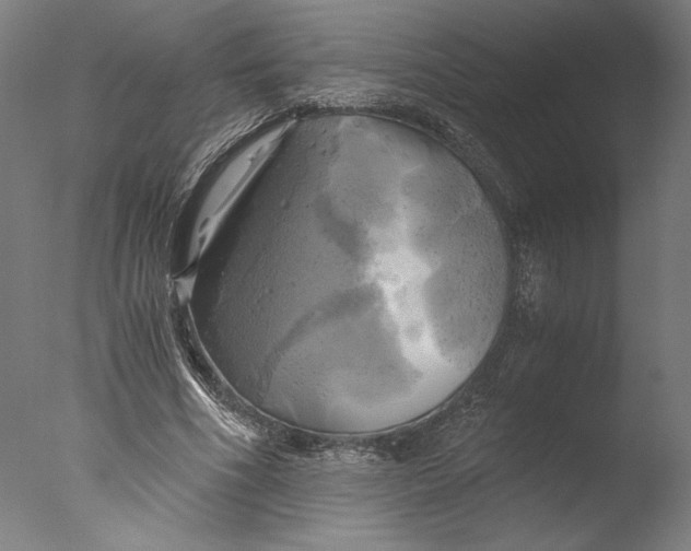 X0000076330586200610201707