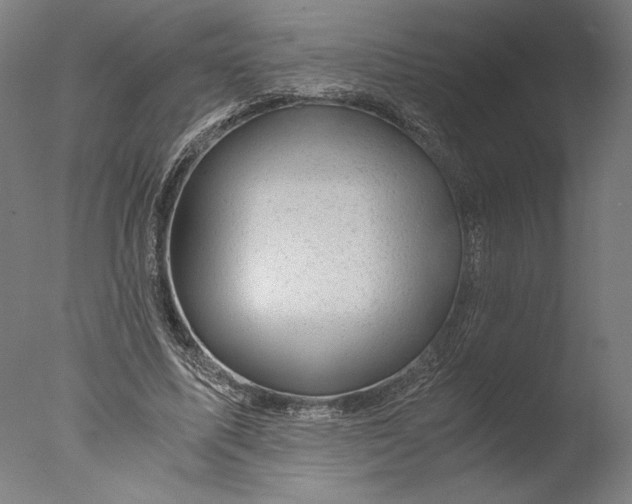 X0000076330587200610201707