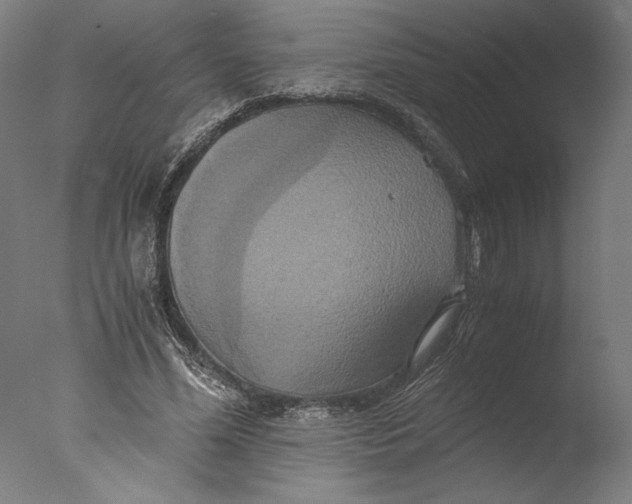 X0000076330588200610201707