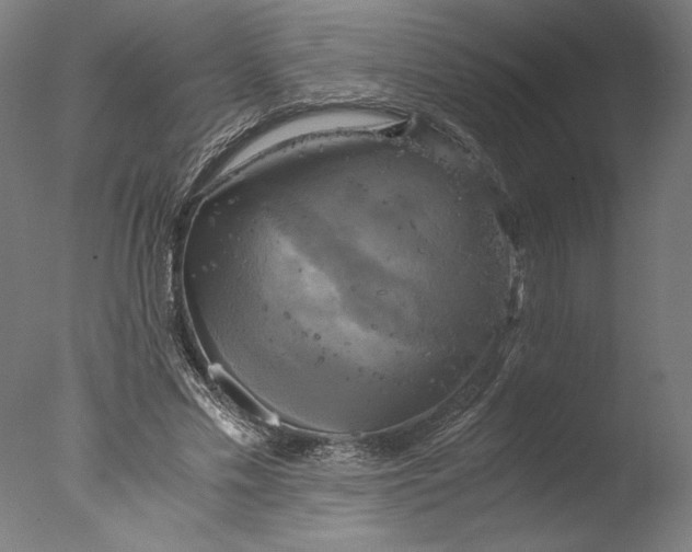 X0000076330589200610201707