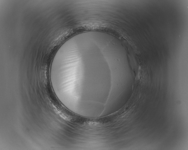 X0000076330590200610201707