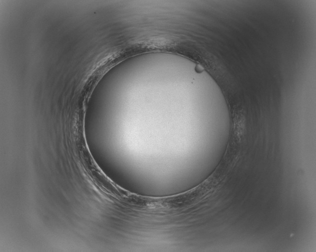 X0000076330591200610201707